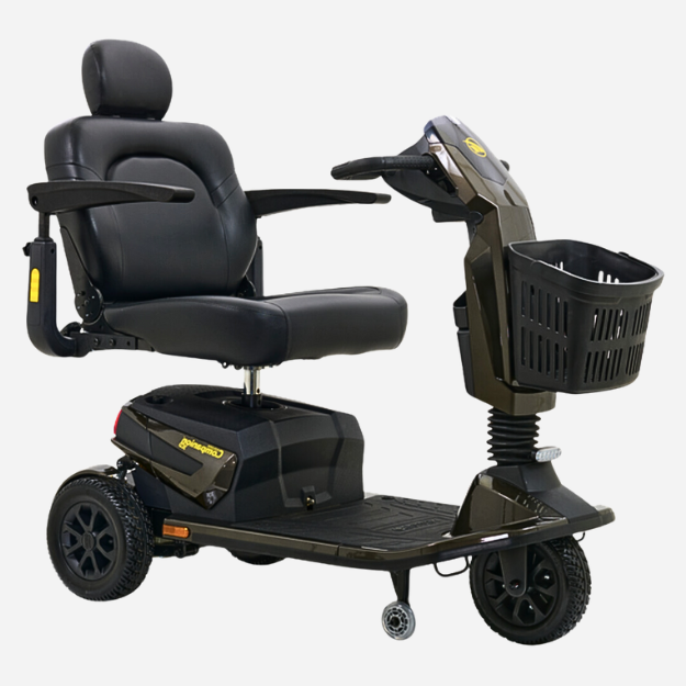 Golden Companion 3-Wheel Heavy-Duty